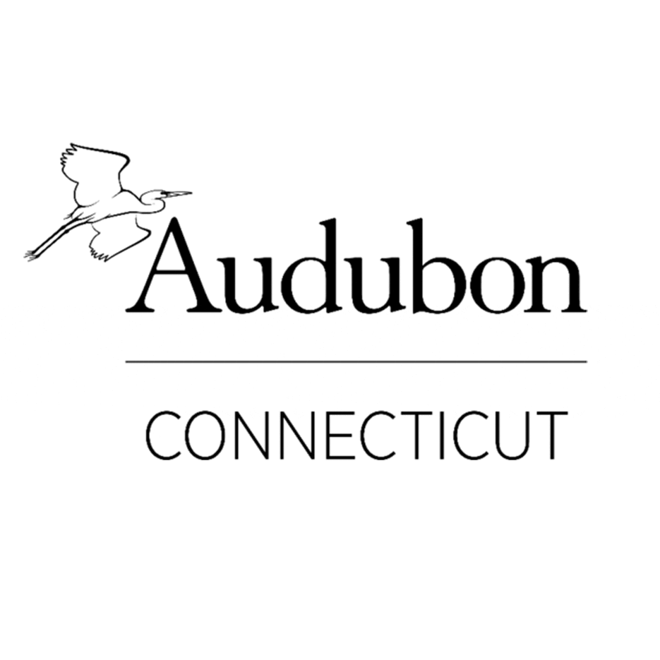 AudubonCT_sq