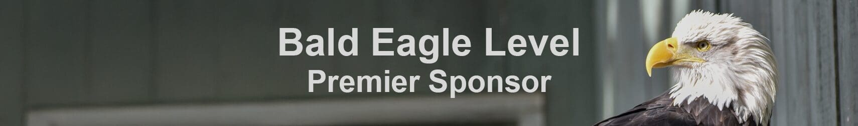 BaldEagle