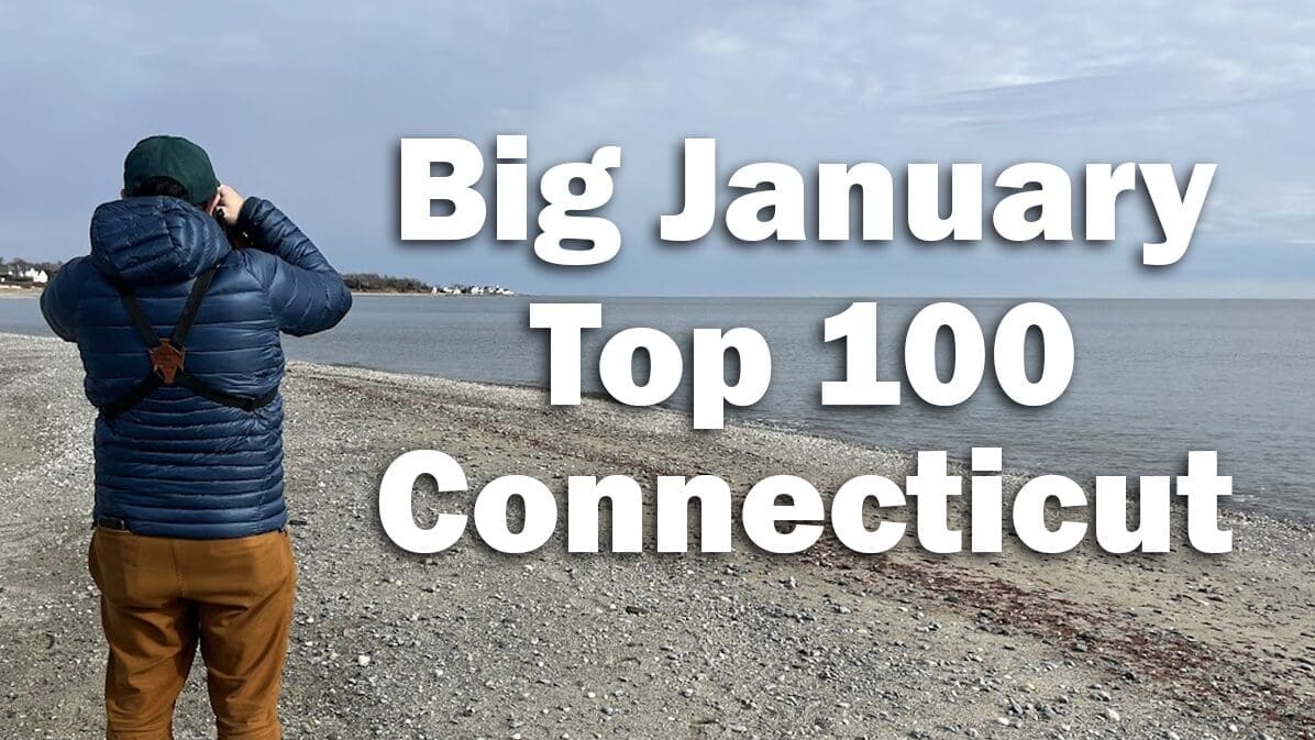 BigJanuary_HIghCounts-CT_1196x673