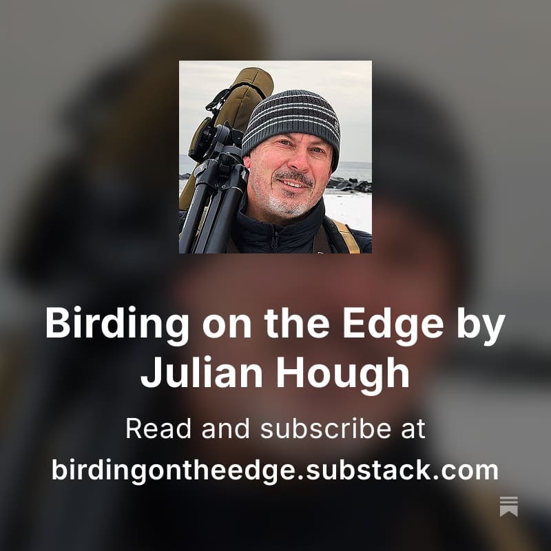 Birding on the Edge - square