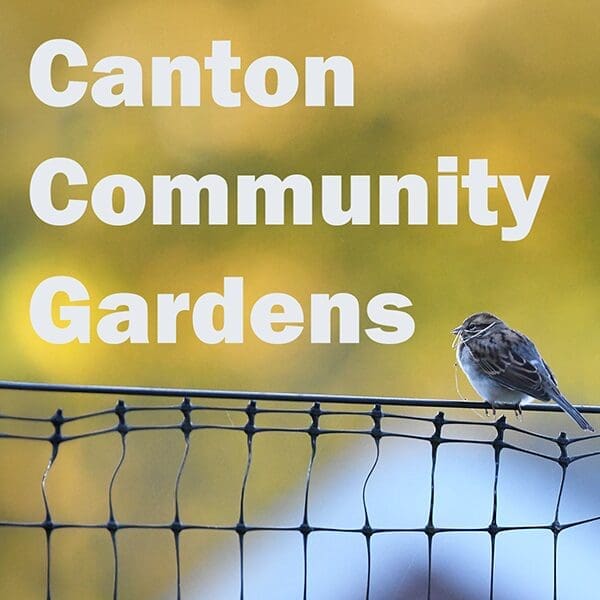 Canton