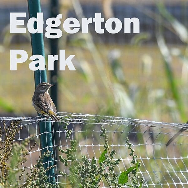 EdgertonPark