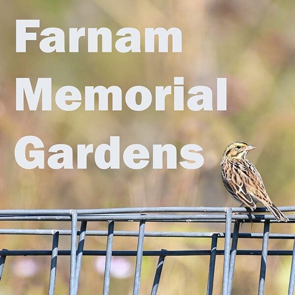 Farnam