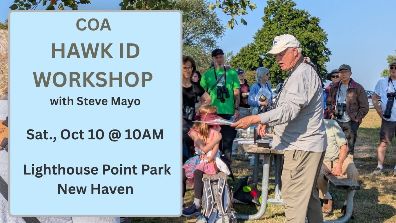 Hawk ID Workshop 2026