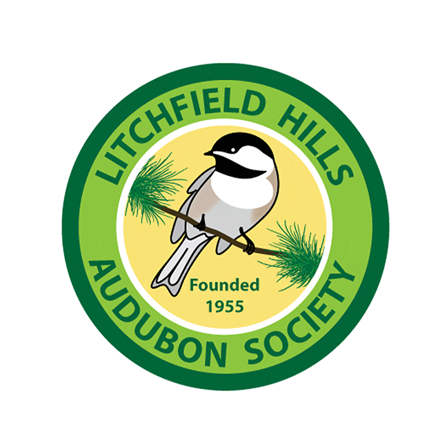 LitchfieldHills_sq