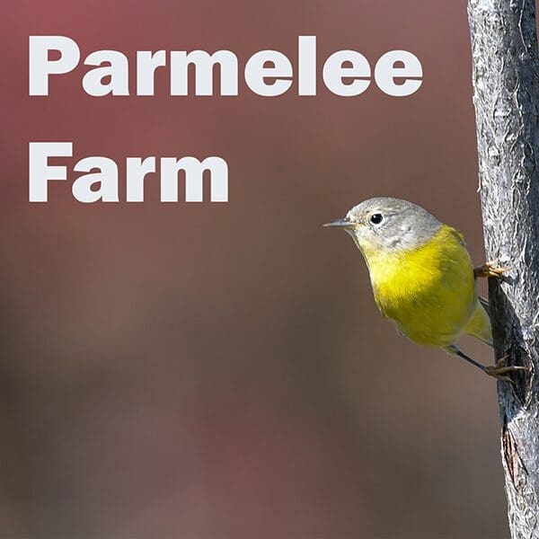 Parmelee