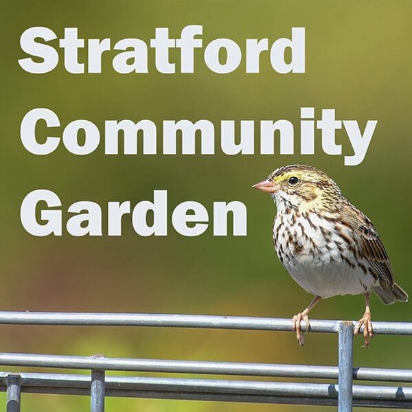 Stratford