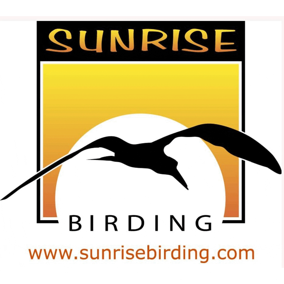 Sunrise-Birding1000-edited