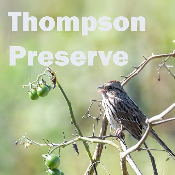 ThomasPreserve