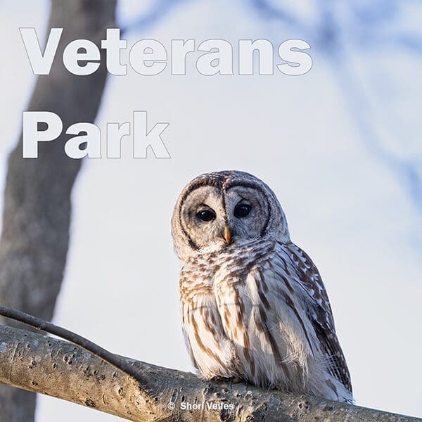 Veterans